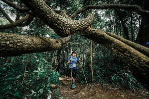 BIB: 
                            <button type="button" onclick="openModal(25705349)" class="btn btn-primary btn-sm float-right btn-popup" data-toggle="modal" data-target=".modal-high-quality">
                        <i class="fas fa-shopping-cart"></i> Add to Cart
                    </button>
                                            <button type="button" onclick="isThisMe(25705349, true)" class="btn btn-success btn-sm float-right btn-popup btn-isme hidden" data-toggle="tooltip" data-placement="bottom" title="นี่คือรูปของคุณใช่ไหม คลิกที่นี่เพื่อเอาเข้าอัลบั้ม">
                        <i class="fas fa-plus"></i> Add to album
                    </button>
                    <button type="button" onclick="isThisMe(25705349, false)" class="btn btn-warning btn-sm float-right btn-popup btn-isnotme hidden">
                        <i class="fas fa-ban"></i> Remove from album
                    </button>